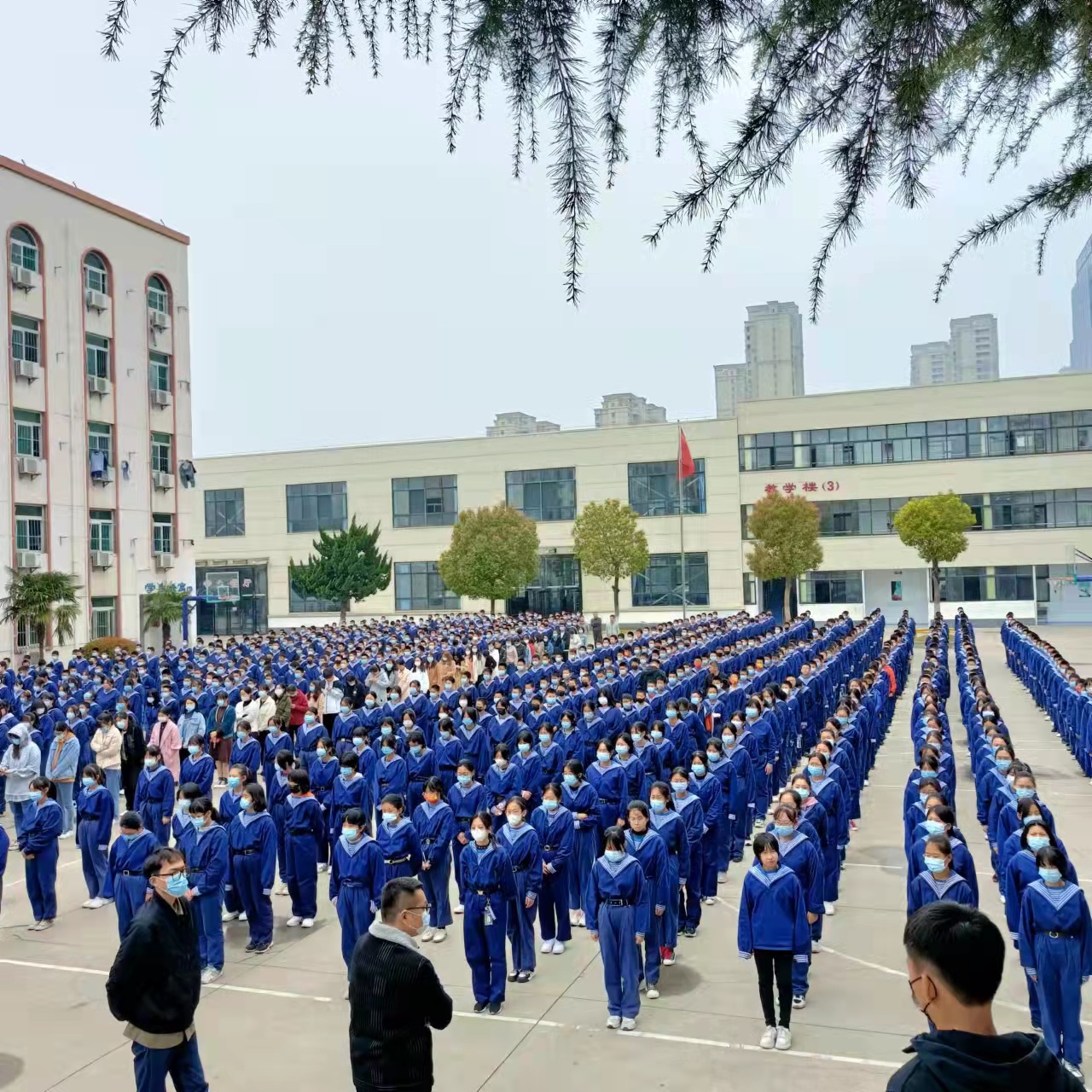 6ce3b105f1df9a9fee3375f985341cd 6ce3b105f1df9a9fee3375f985341cd