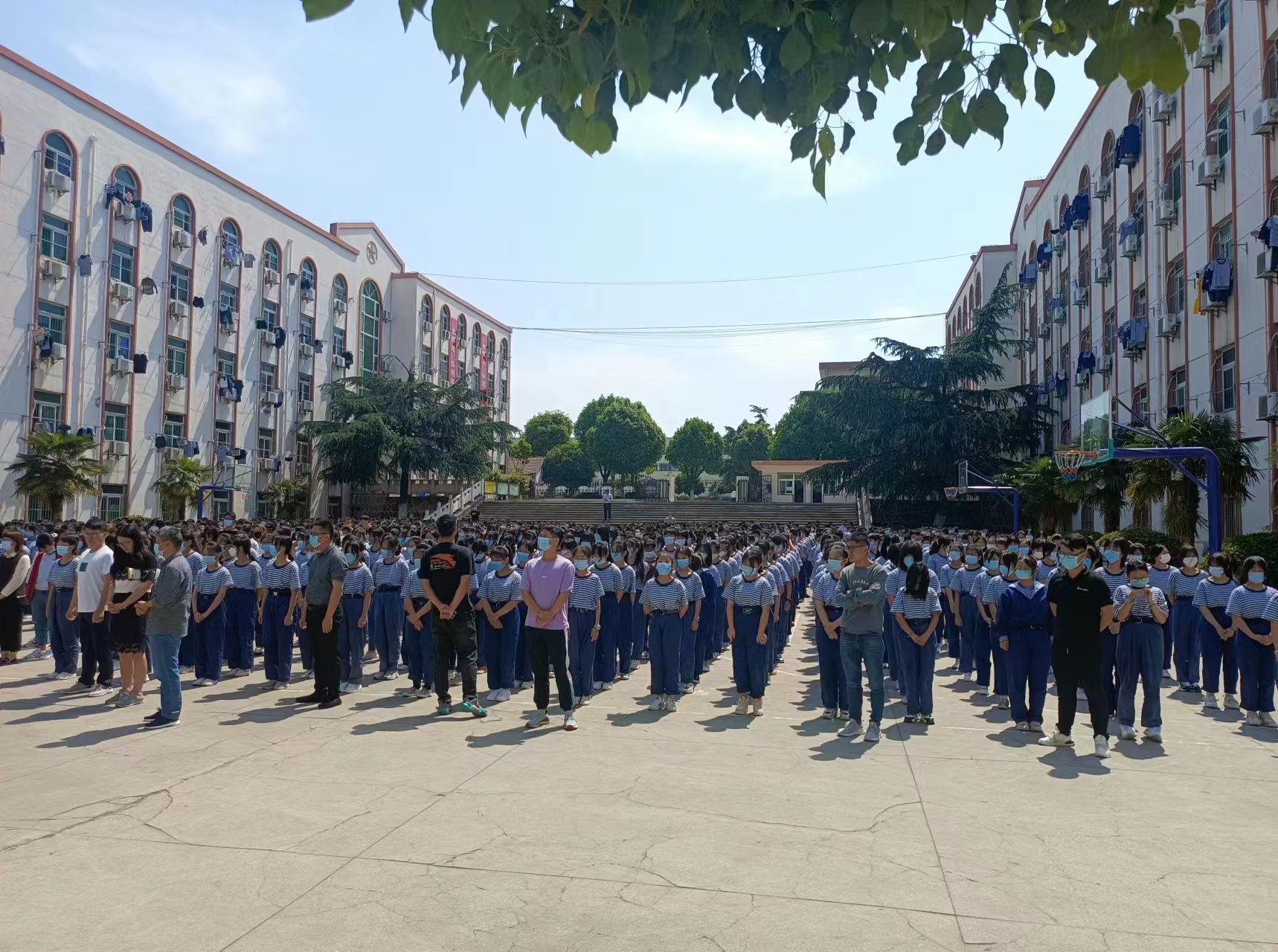 b4fea7f5e06825a3c7661bb1d4d40b1 b4fea7f5e06825a3c7661bb1d4d40b1