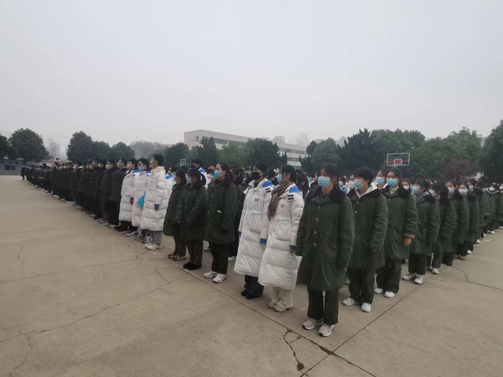 微信图片_20221208201237 微信图片_20221208201237