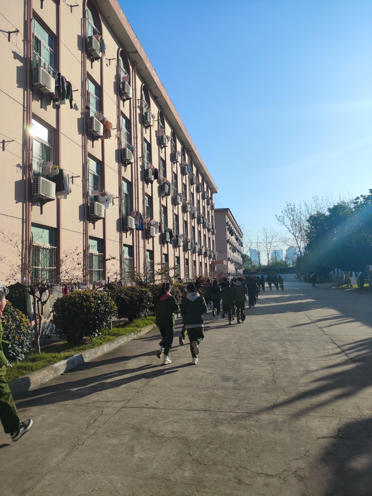 微信图片_20231108091141