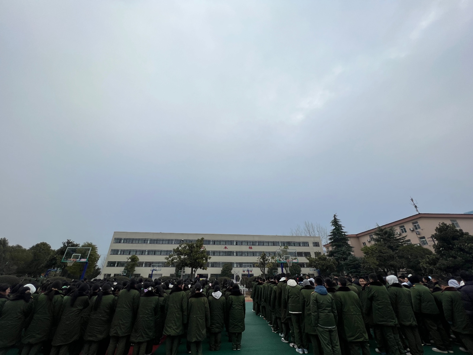 WechatIMG1260 WechatIMG1260