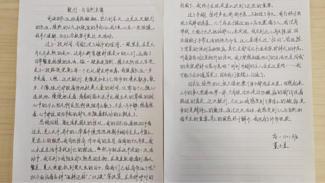 图片7