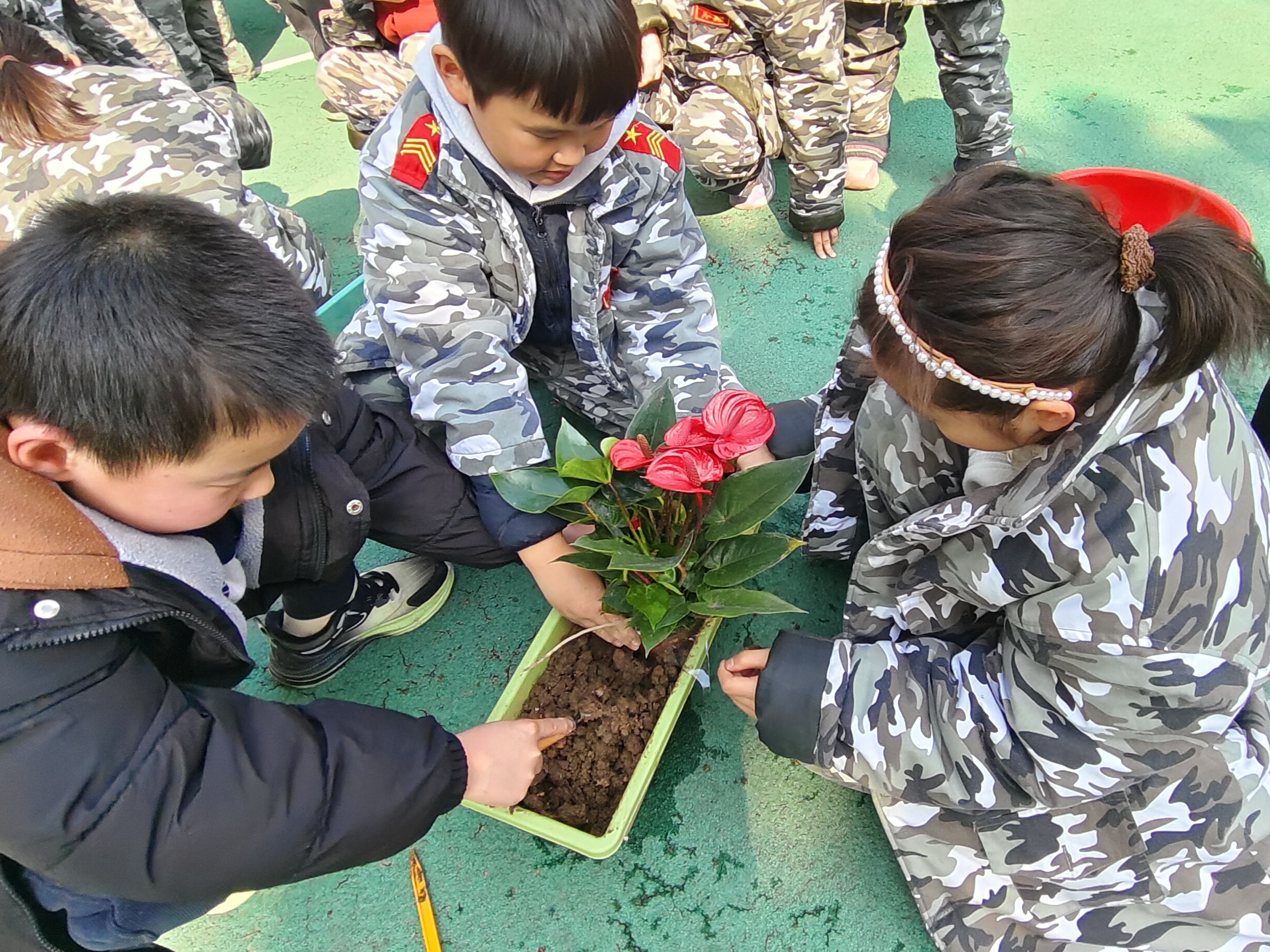 微信图片_20260313141837_16_57 微信图片_20260313141837_16_57