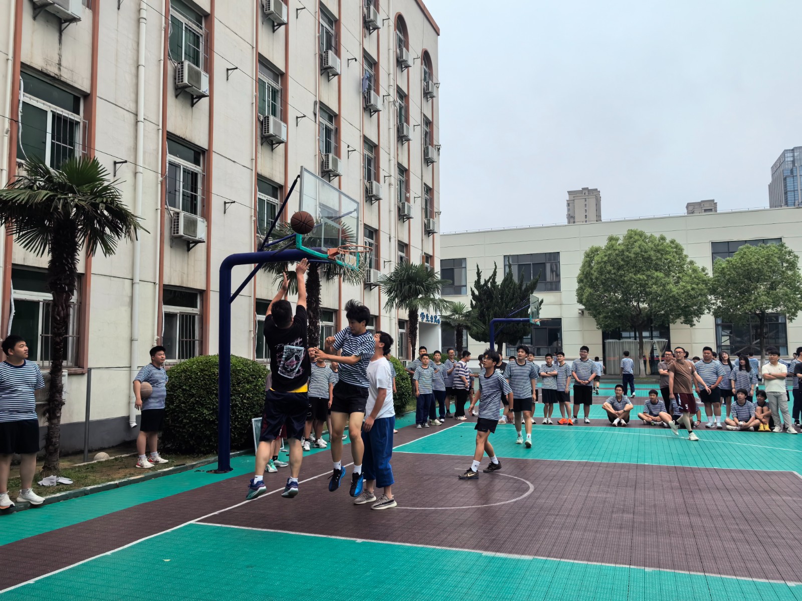 微信图片_20260527085834_4_599